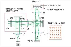 ［イベント］第151回オプティクス教育研究セミナー 「偏光パターン投影による三次元形状計測」を開催します（9/30)