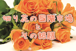 ［イベント］第5回連続シンポジウム「切り花の国際市場とその課題」を開催します