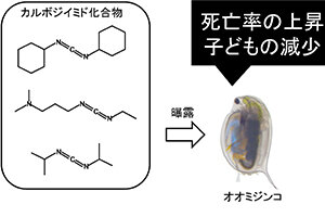 ［プレスリリース］プラスチックなどに添加されるカルボジイミド化合物がミジンコに毒性を示すことを発見