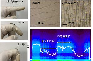 ［プレスリリース］ひずみが測れる柔らかい光センサーシートの開発―生体の感覚系を模倣した亀裂の開閉動作が鍵―