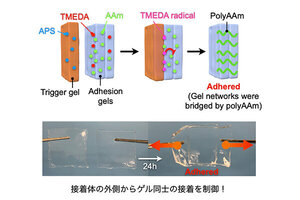 絆創膏のように患部に直接触れることなく接着することのできる間接的なゲル接着手法を開発