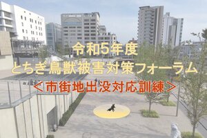 ［イベント］令和5年度とちぎ鳥獣被害対策フォーラム〈市街地出没対応訓練〉を開催します （2/1）