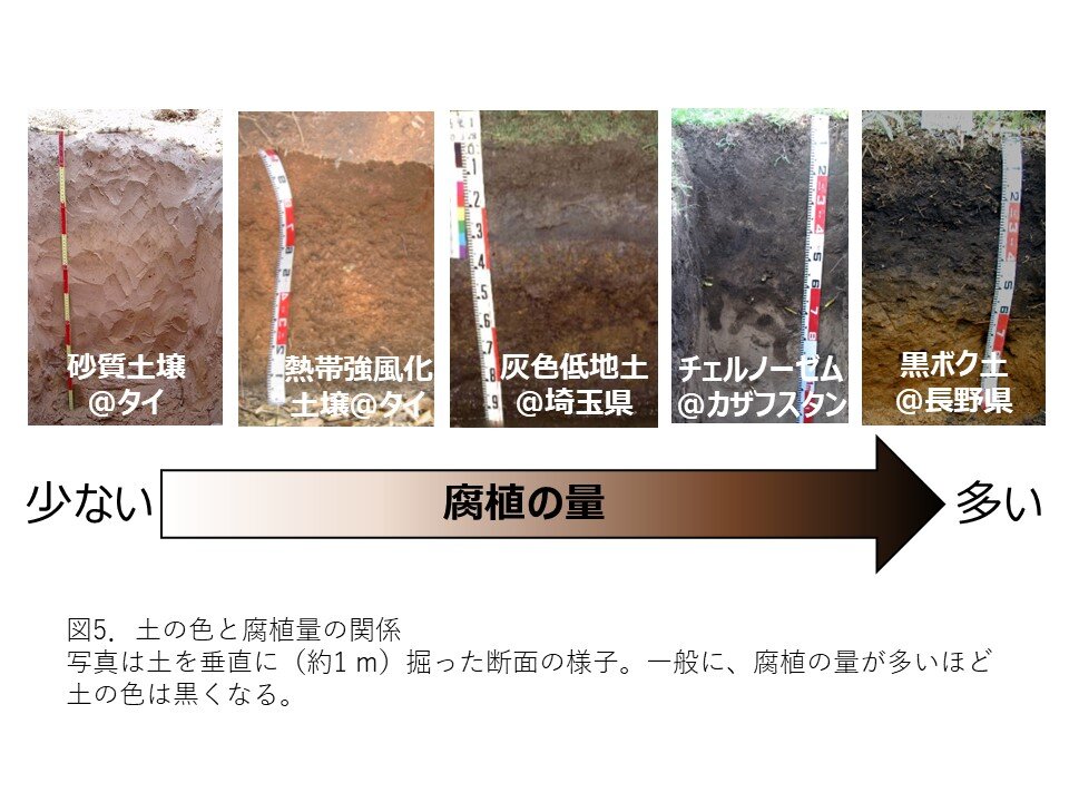 土の色と腐植量の関係を示した図