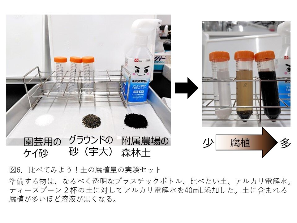 土の腐食量の実験セットと実験結果の写真