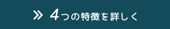 4つの特徴を詳しく